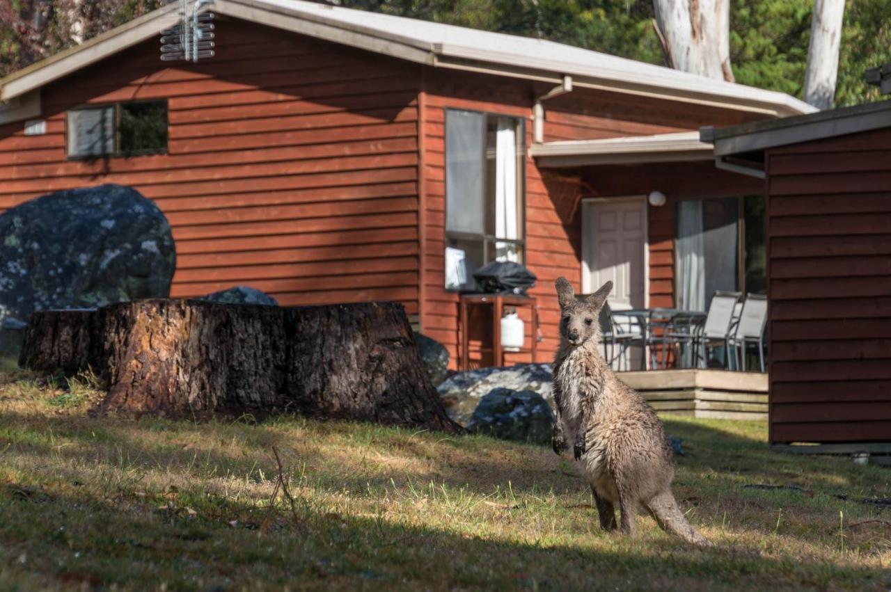 Wonderland Cottages Halls Gap Extérieur photo
